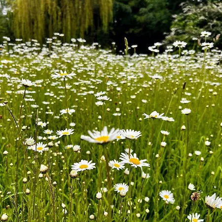 'little Grebe' - Secluded Rustic - Fishermans Delight.
