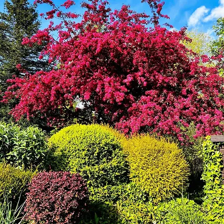 Chalet 'little Grebe' - Secluded Rustic - Fishermans Delight.