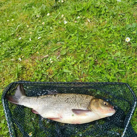 'little Grebe' - Secluded Rustic - Fishermans Delight.