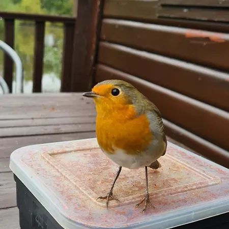 בקתה 'little Grebe' - Secluded Rustic - Fishermans Delight. *