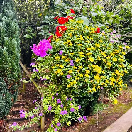 'little Grebe' - Secluded Rustic - Fishermans Delight. Alpstuga *